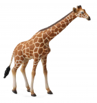 M&auml;ngukujuke Collecta Reticulated Giraffe 88534, pruun v.