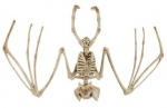 Dekoratsioon Malatec 22005, beež, 28 cm x 16.5 cm x 5 cm, 0.052 kg