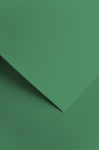 Dekoratiivpaber Galeria Papieru Sawana, A4, 220 g/m&sup2;, roheline, 29.7 cm x 21 cm