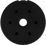 Ketasraskused Zipro Disk Weight 1.25 kg