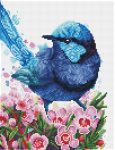 Teemantmosaiik Diamond Dotz Splendid Fairy Wren, mitmev&auml;rviline