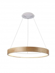 Valgusti rippuv AZzardo Silvam AZ2699, LED, 3000 &deg;K, 1 x 50 W, valge v.