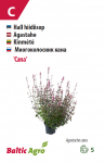 Seemned Baltic Agro hiidiisop, 0.5 g