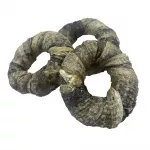 Koeramaius Grizy Cod Skin Rings, tursk, 0.1 kg