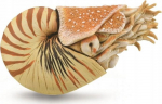 M&auml;ngukujuke Collecta Nautilus Pompilius 88907, 10 cm, pruun v.
