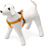 Koerte traksid Karlie ASP Step & Go, oranž v., 350 - 600 mm x 20 mm, M