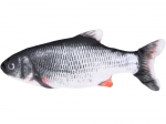 Pehme m&auml;nguasi kassidele Fish, mitmev&auml;rviline, 25 cm