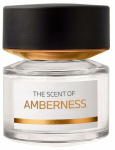 Parf&uuml;&uuml;mvesi BMW The Scent Of Amberness, 100 ml