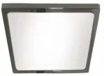 Valgusti lagi ja seinad CristalRecord Kaju, 4200&deg;K, LED, grafiit v., 8 W
