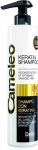 &Scaron;ampoon Delia Cosmetics Keratin, 250 ml