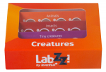 Proov Levenhuk LabZZ C12, 10 cm, oranž v., 12 tk