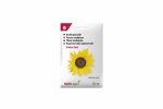 Seemned Baltic Agro p&auml;evalilled Pacino Cola, 6 g