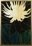 Fotomaal 484A, 53 cm x 73 cm