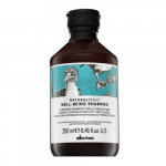 &Scaron;ampoon Davines NaturalTech Well Being, 250 ml