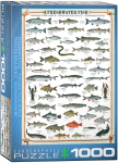 Pusle Eurographics Freshwater Fish 6000-0312, 67.6 cm x 48.9 cm, 1000 tk, mitmev&auml;rviline