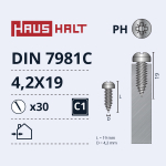 Isekeermestavad kruvid Haushalt DIN7981C, 4.2 mm x 19 mm, 30 tk