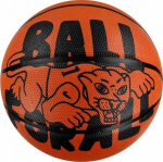 Korvpalli pall Nike Playground 100 4371 811, 6 suurus