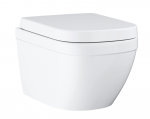 WC-pott, seinapealne Grohe Euro Ceramic, kaanega, 374 mm x 540 mm