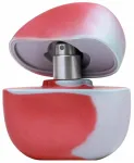 Parf&uuml;&uuml;mvesi Addison Rae Passionate AF, 100 ml