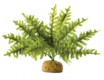Akvaariumi dekoratsioon Exo Terra Boston Fern, roheline v., 40 cm
