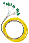 Kaabel Qoltec Optic Pigtail G657A, LC/APC x 12, 2 m, kollane v.