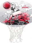 Riputatav korvpallilaud koos r&otilde;ngaga Spalding Sketch MicroMini, Palliga, 29 cm