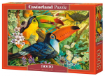 Pusle Castorland Interlude 3000 el. 300433, 92 cm x 68 cm, 3000 tk, mitmev&auml;rviline