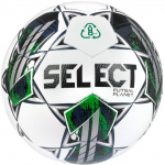 Jalgpallipall Select Planet FIFA Basic, 4 suurus