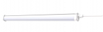 Valgusti Philips, lagi ja seinad, 17 W, 1700 lm, 4000 &deg;K, IP65