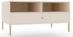 Kohvilaud ADRK Tili, beež v., 100.2 cm x 40.8 cm x 50 cm