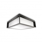 &Otilde;ue seinavalgusti Philips Skies, 14W, E27, IP44, antratsiit v., 26 cm x 8.1 cm