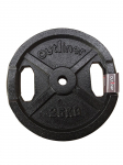 Ketasraskused Outliner, 25 kg