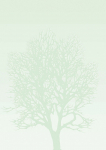 Dekoratiivpaber Galeria Papieru Tree, A4, 100 g/m&sup2;, roheline v., 29.7 cm x 21 cm, 50 lk. tk.