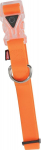 Kaelarihm koertele Zolux Silicone, oranž, 450 - 580 mm x 25 mm, 45-58