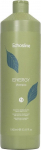 &Scaron;ampoon Echosline Energy, 1000 ml