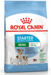 Kuiv koeratoit Royal Canin Mini Starter, kanaliha, 1 kg
