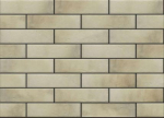 Plaadid, klinker Cerrad Retro Brick Salt 5901779371931, 24.5 cm x 6.5 cm, beež v.
