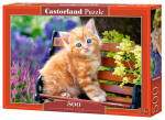 Pusle Castorland Ginger Kitten 500 el. B-52240, 47 cm x 33 cm, 500 tk, mitmev&auml;rviline