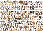 Pusle Eurographics The World of Dogs, 48 cm x 68 cm, 1000 tk, mitmev&auml;rviline