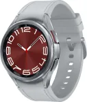 Nutikell Samsung Galaxy Watch 6 Classic Stainless Steel 43mm LTE SM-R955FZSAEUE, h&otilde;be v.