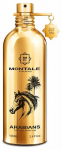 Parf&uuml;&uuml;mvesi Montale Paris Arabians, 100 ml, (ilma pakendita)