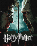 Maalimine numbrite j&auml;rgi Ideyka Harry Potter Harry And Voldemort, pruun v./roheline v.