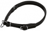 Kaelarihm koertele Hunter, must, 350 mm x 8 mm