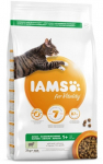 Kuiv kassitoit IAMS Vitality 12720, lambaliha, 10 kg