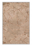 Vaip Conceptum Hypnose EEXFAB824 369HFT3412, kuldne/beež, 120 cm x 80 cm