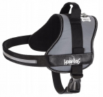 Koerte traksid Hobbydog Julletta, hall v., 480 - 600 mm x 130 mm, L