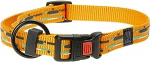 Kaelarihm koertele Beeztees, oranž v., 400 - 650 mm x 25 mm, 40-65