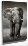 Reproduktsioon Wallity DC064, 40 cm x 30 cm