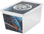 Kaanega hoiukarp, m&auml;nguasjade jaoks Branq X Box Deco Kingfisher, 15 l, l&auml;bipaistev/mitmev&auml;rviline, 38.5 x 28.5 x 20 cm