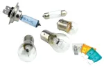 Autopirn Bottari, halogeenlamp, 12 V